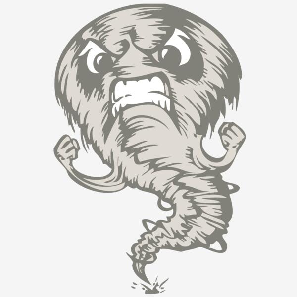 BAW STORM 07 RC Thumbnail