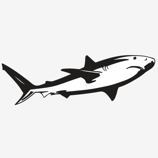 AR5 Shark 15 RQC Thumbnail