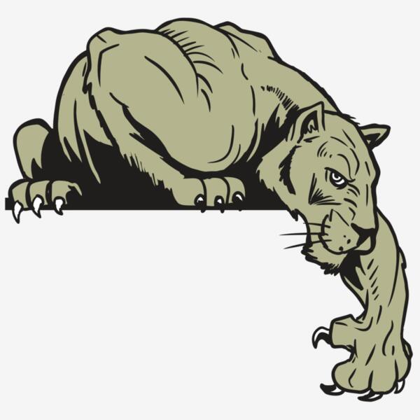 AR10 PANTHER 06 RQC Thumbnail