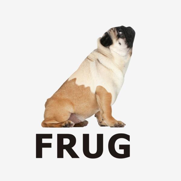FRUG Thumbnail
