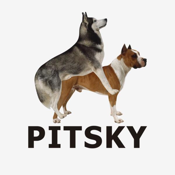 PITSKY Doggy Style Thumbnail