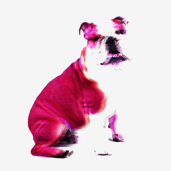 Bulldog 3D Thumbnail