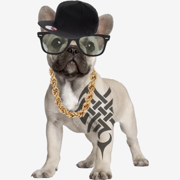 Frenchie GangstaF Thumbnail