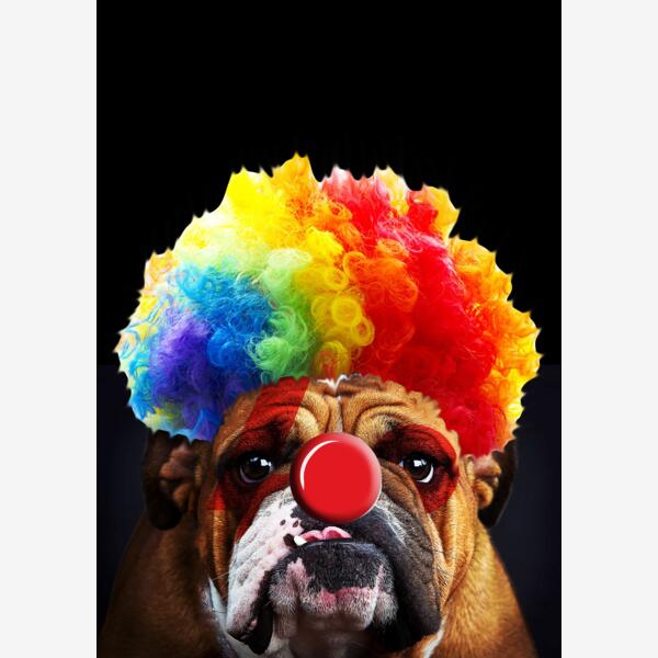 Bulldog Clown Thumbnail