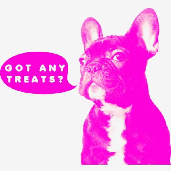 Frenchie GotAnyTreats Thumbnail