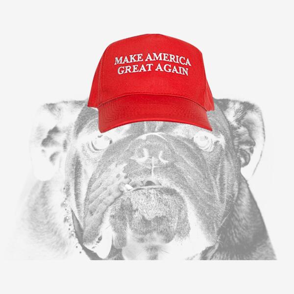 Bulldog MakeTreatsGreatAgain Thumbnail
