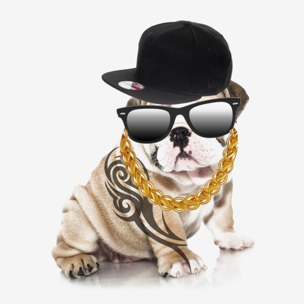 Bulldog GangstaB Thumbnail