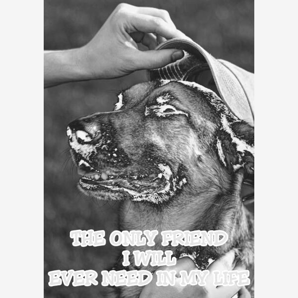 GermanShepherd OnlyFriend Thumbnail