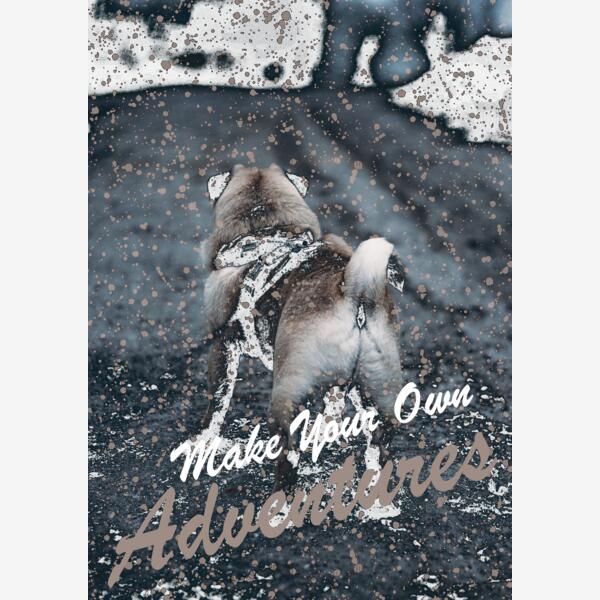 Pug AdventuresBlack Thumbnail