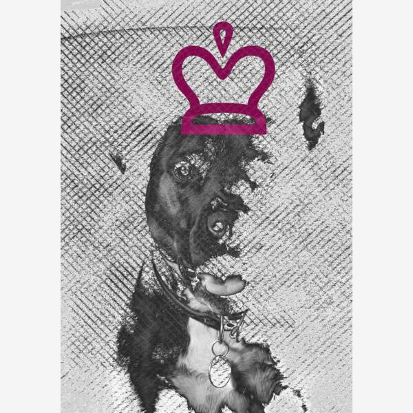 Pitbull PitQueen Thumbnail