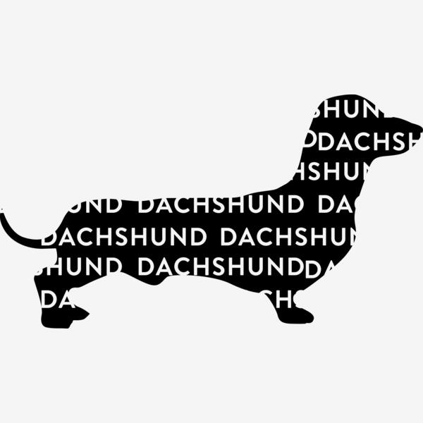 Dachshund Wohite Tee Thumbnail